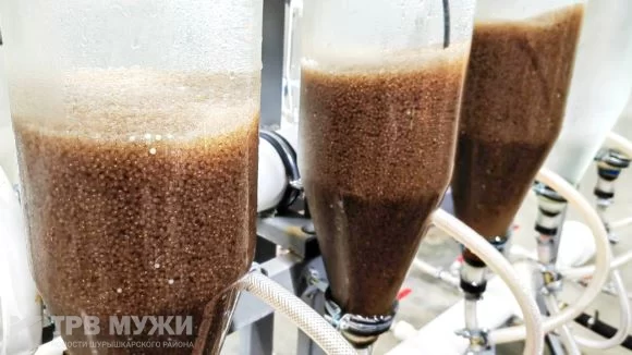 На Ямале впервые в России тестируют биотехнологию выращивания нельмы в установках замкнутого цикла